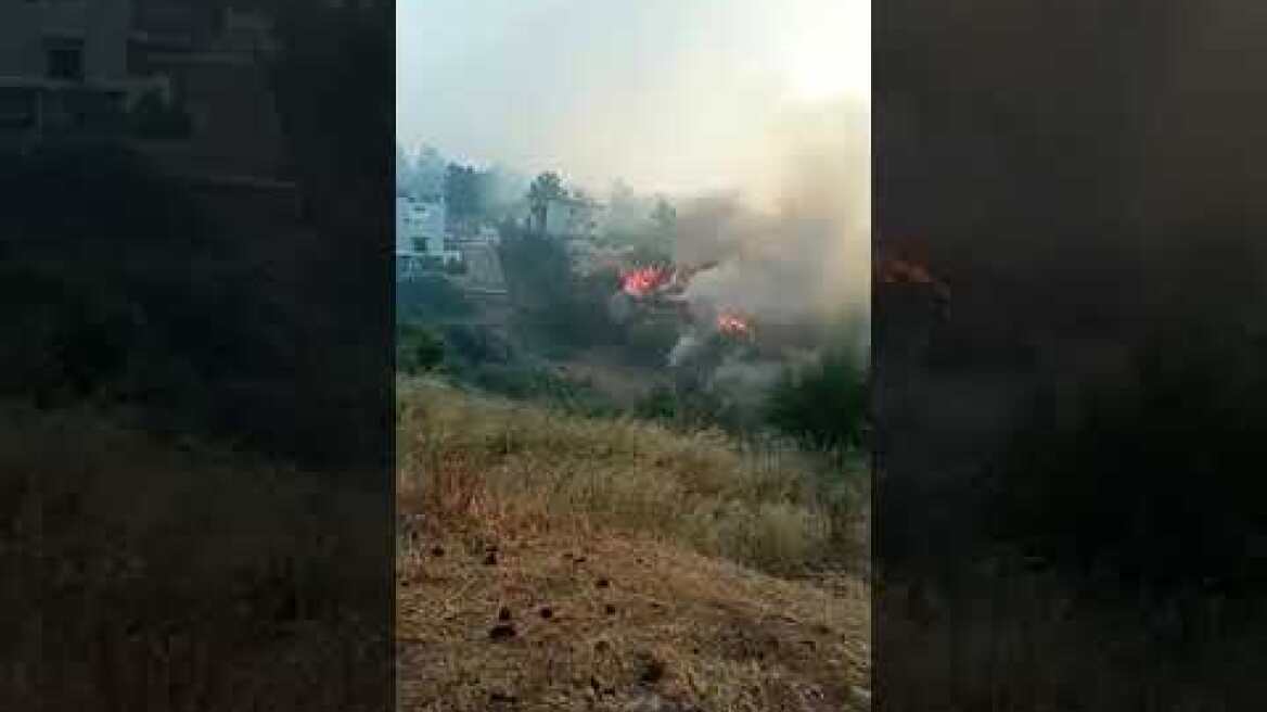 Φωτιά στην Πεντέλη - Νέα Παλλήνη