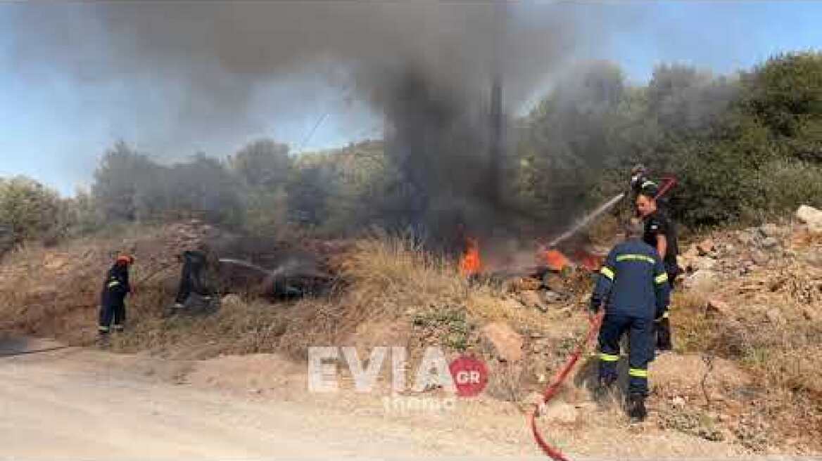 Eviathema.gr - Φωτιά στα Ψαχνά Ευβοίας