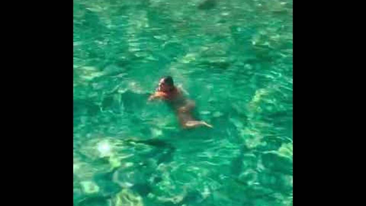 Βίντεο: Η Δανάη Μπάρκα κολυμπάει στα καταπράσινα νερά των Κυκλάδων