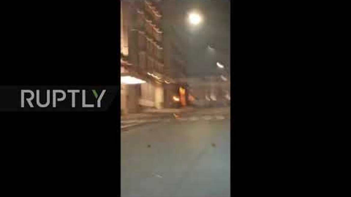 Italy: Hundreds of birds found dead in Rome due to NYE fireworks