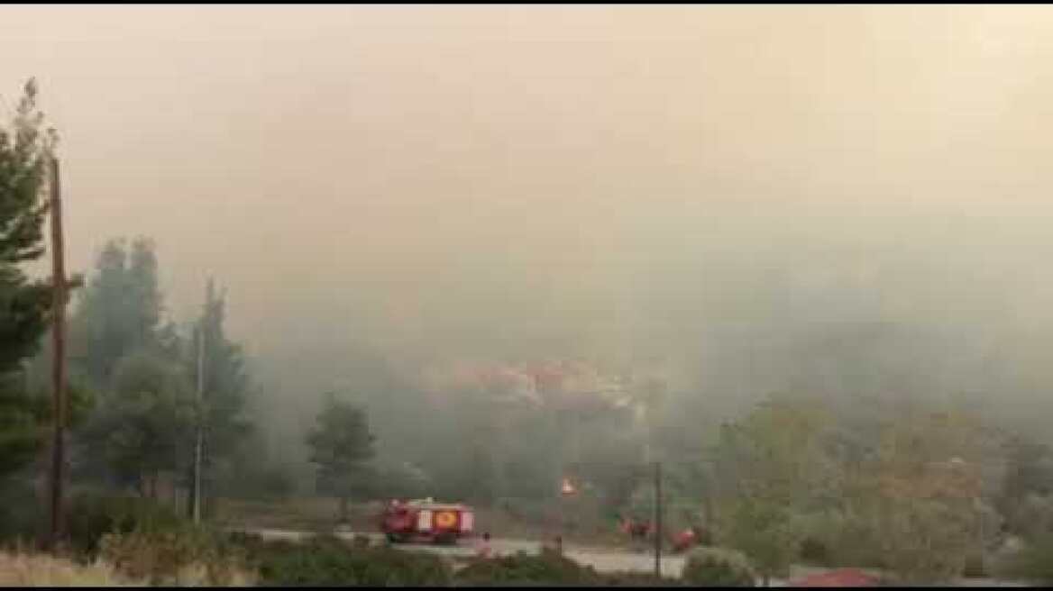 HALKIDIKINEWS - Φωτιά στη Σιθωνία -ΑΧΛΑΔΑ 25.10.18