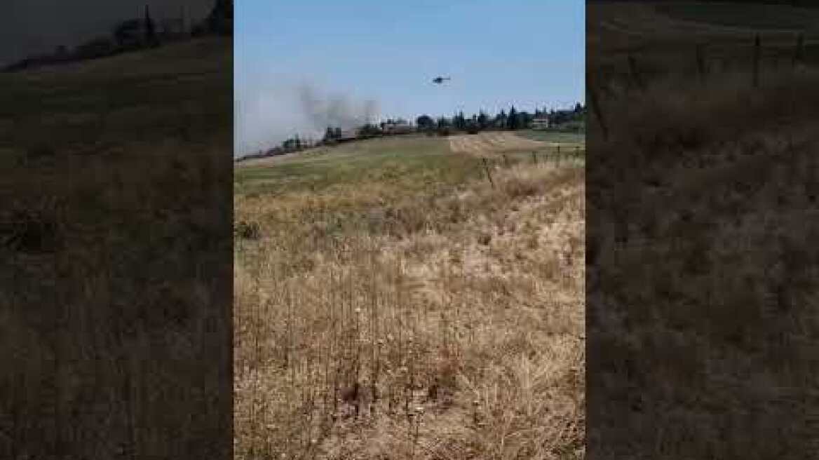 Thestival.gr Φωτιά στο Πλαγιάρι