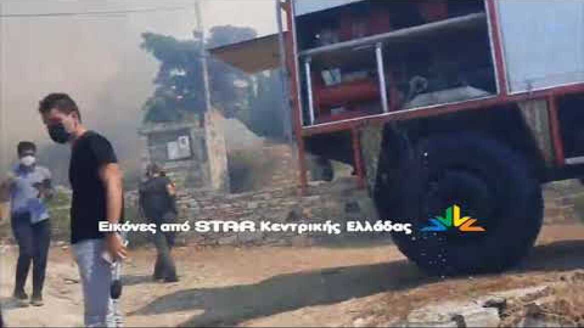Συγκλονιστικό video από την αναζωπύρωση στο Κοκκίνι της Νότιας Εύβοιας