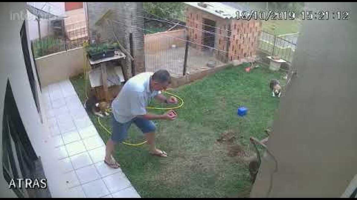 Homem tenta matar baratas e acaba explodindo o próprio quintal
