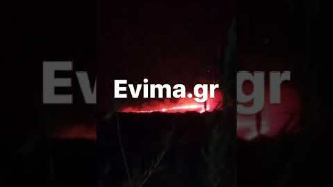 Φωτια στο Αλιβέρι