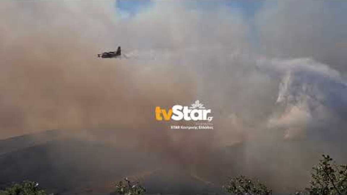 Φωτιά στο Πετρωτό Δομοκού