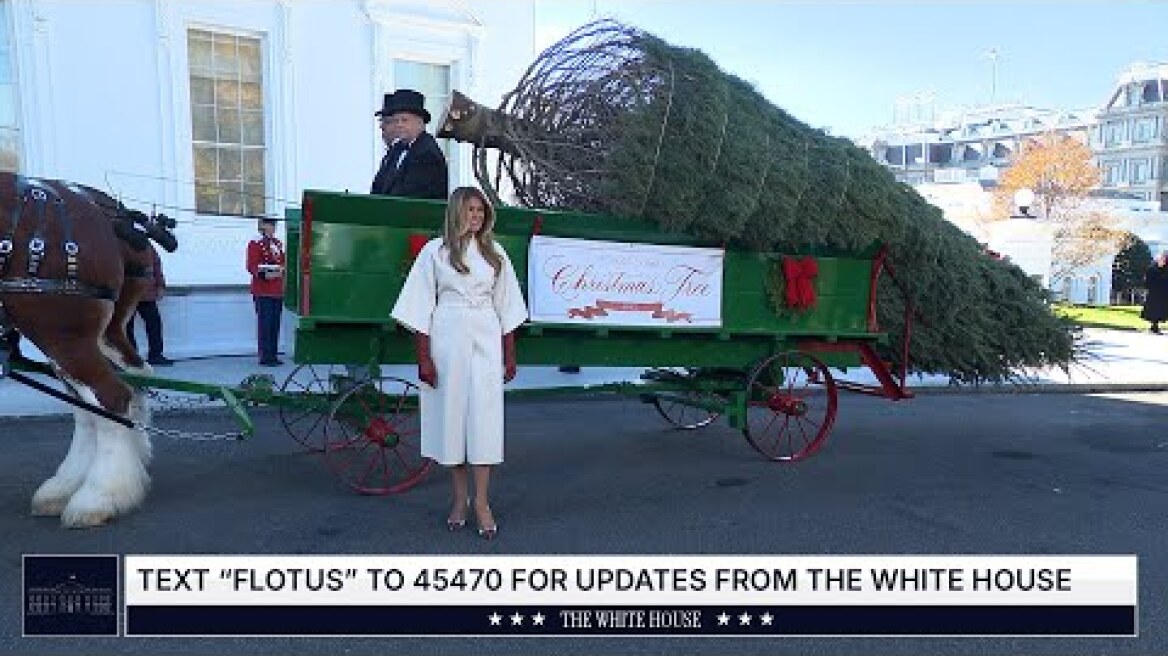 First Lady Melania Trump Welcomes the Official 2025 White House Christmas Tree