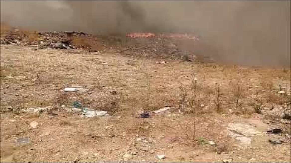 Σε εξέλιξη φωτιά στο Αλιμάκι Κυπαρισσίας