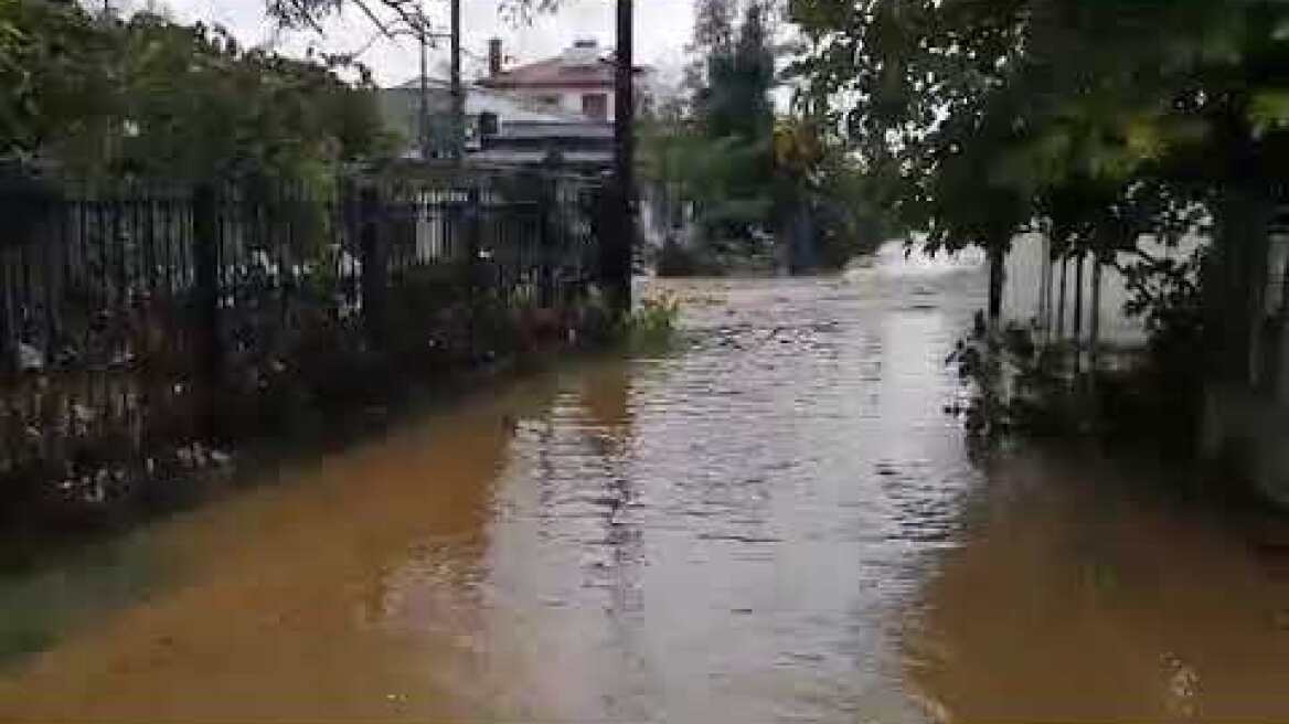 HALKIDIKINEWS - Πλημμύρισε η Ολυμπιάδα (1) 22/11/19