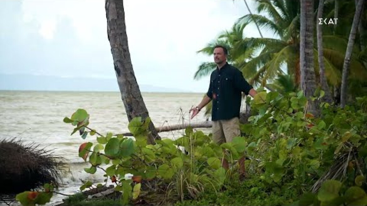 Survivor | Trailer | 16/09/2024