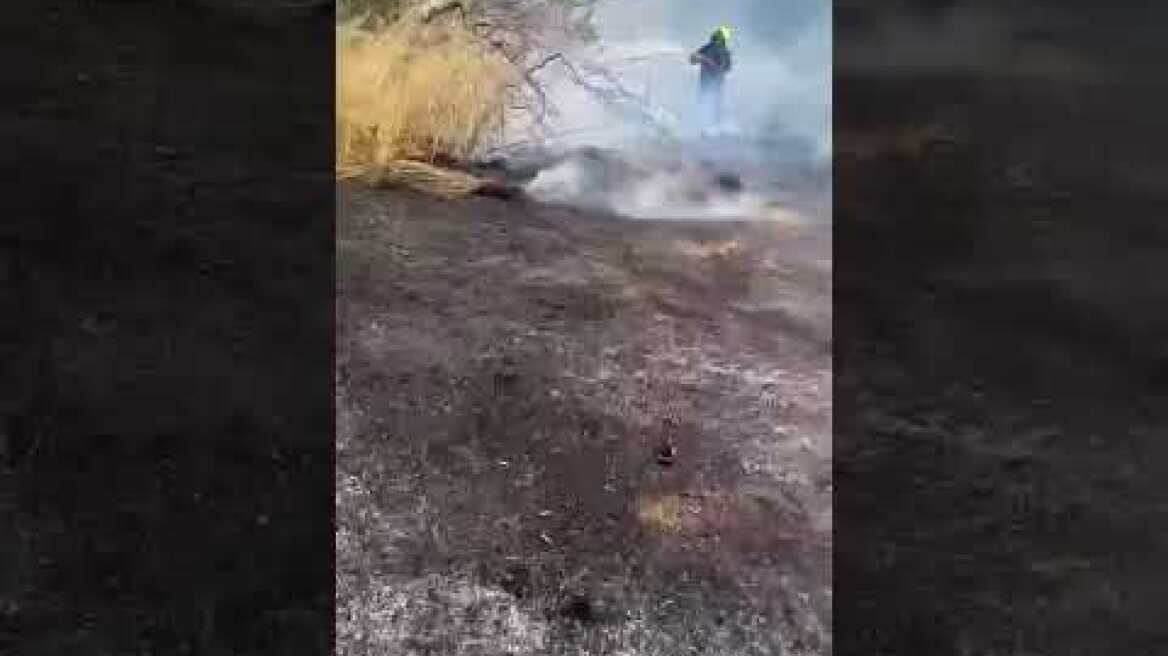 Φωτιά στη Βουλιαγμένη (2)