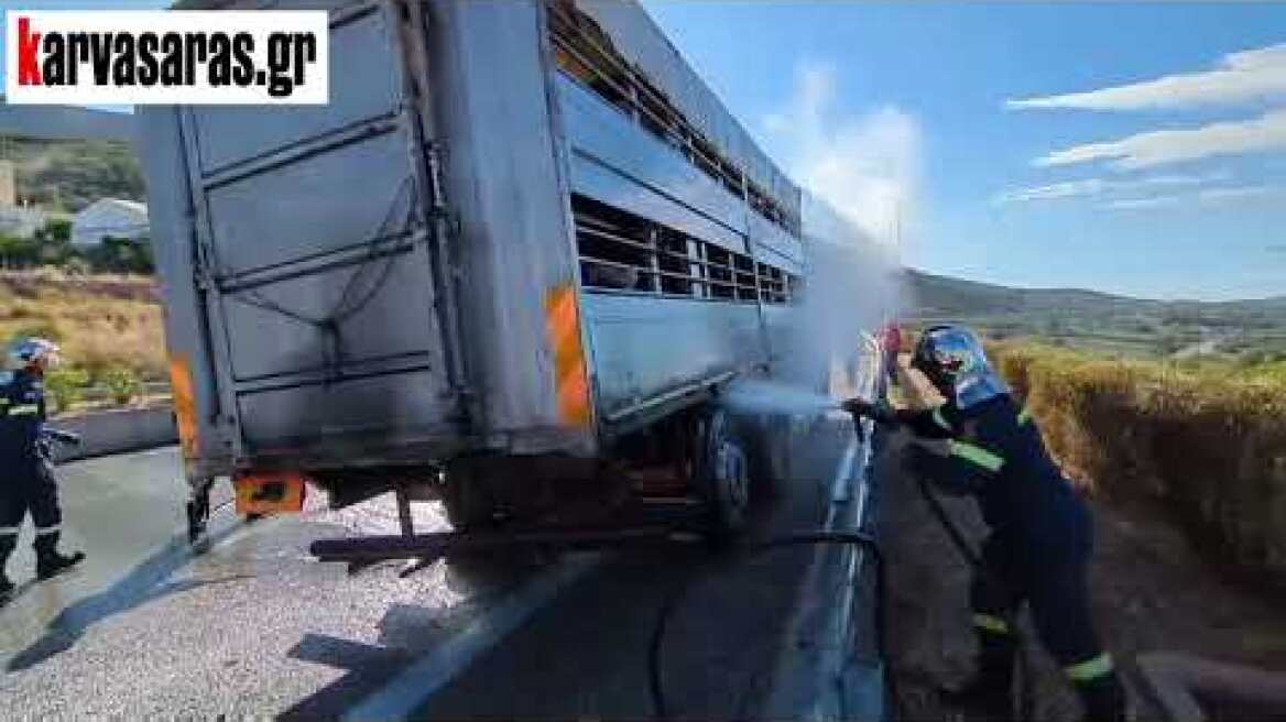 Αμφιλοχία-Ιόνια Οδός: Πυροσβέστες έσωσαν ζώα από φλεγόμενο φορτηγό στον κόμβο Αμβρακίας (15/09/2024)