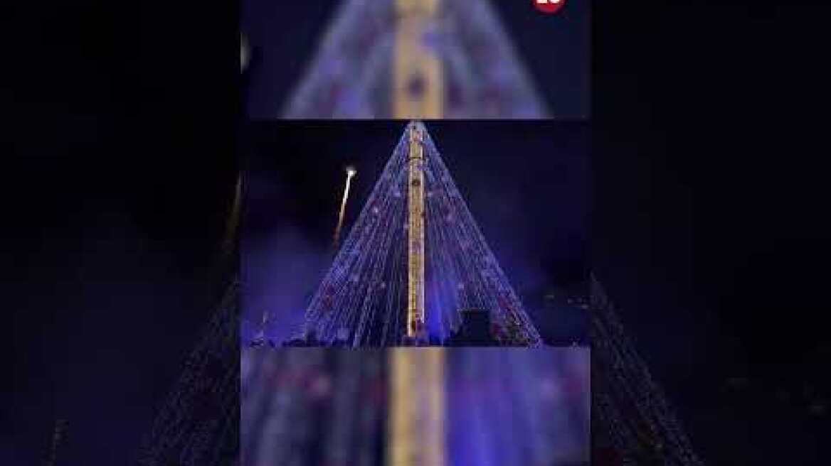 Carlos Alcaraz enciende el árbol de Navidad de Murcia de un raquetazo