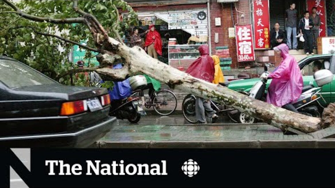 Japan and swaths of East Asia battered by pair of typhoons