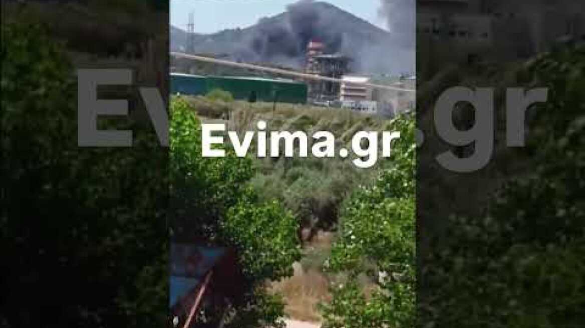 Φωτιά κοντά στο εργοστάσιο της ΔΕΗ στο Αλιβέρι