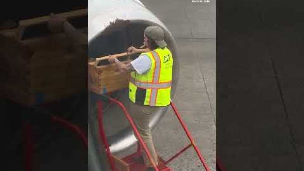 Beehive removed from plane before flight takes off from North Carolina