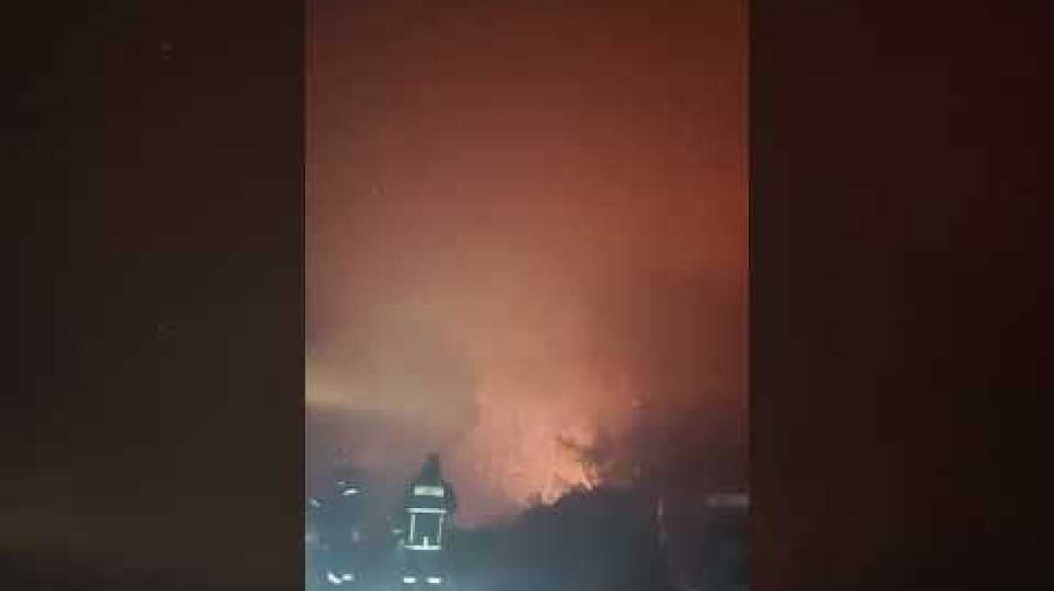 Πυρκαγιά στο Δάσος Στροφυλιάς Αχαϊας (3)