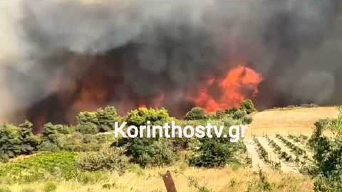 Φωτιά στην Κορινθία: Μεγάλη αναζωπύρωση στο Κούτσι Νεμέας