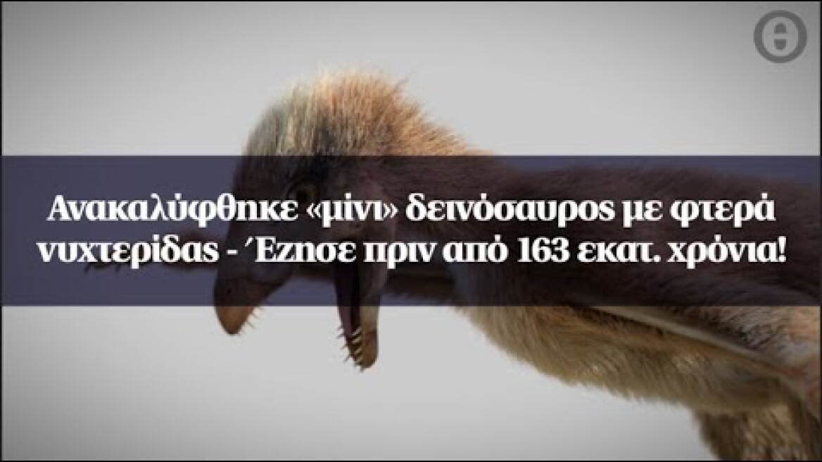 Ανακαλύφθηκε «μίνι» δεινόσαυρος με φτερά νυχτερίδας - Έζησε πριν από 163 εκατ. χρόνια!