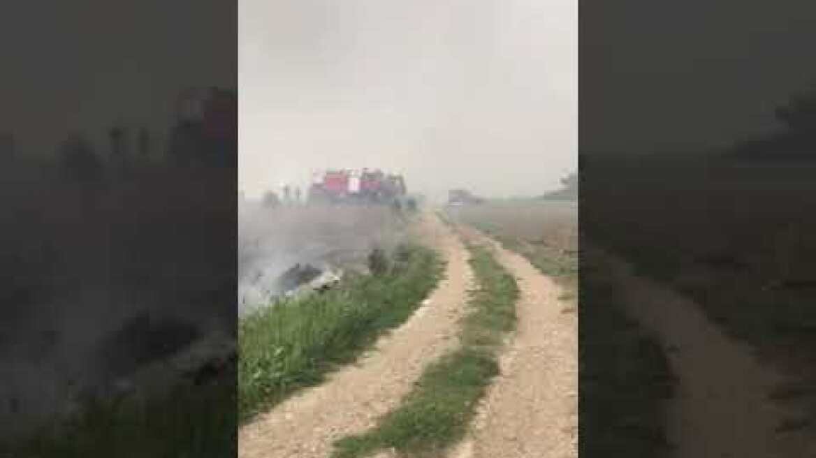 Φωτιά στη Σορωνή (3) - 5.4.22