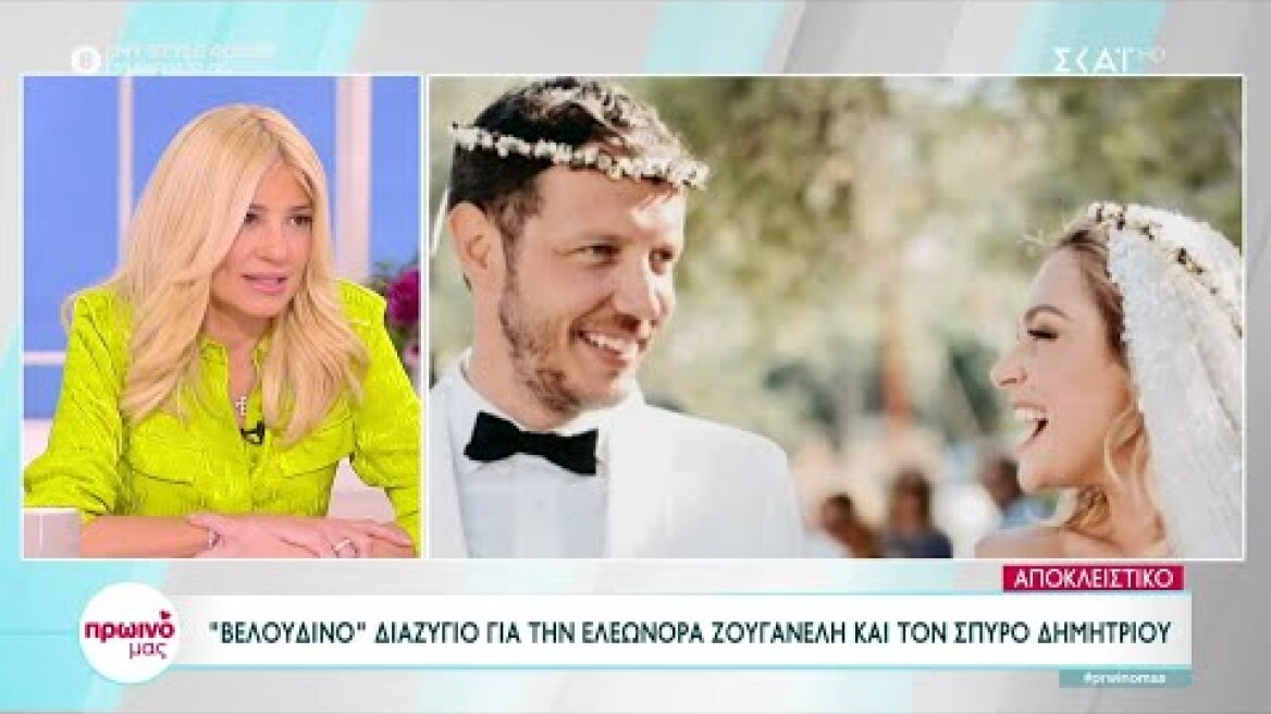 "Βελούδινο" διαζύγιο για την Ελεονώρα Ζουγανέλη και τον Σπύρο Δημητρίου | Πρωινό μας