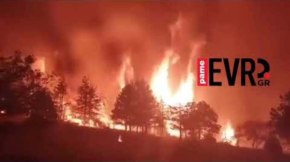 Έβρος: Εφιαλτική νύχτα σε Ρούσσα και Δέρειο με την πυρκαγιά που πέρασε από τη Βουλγαρία