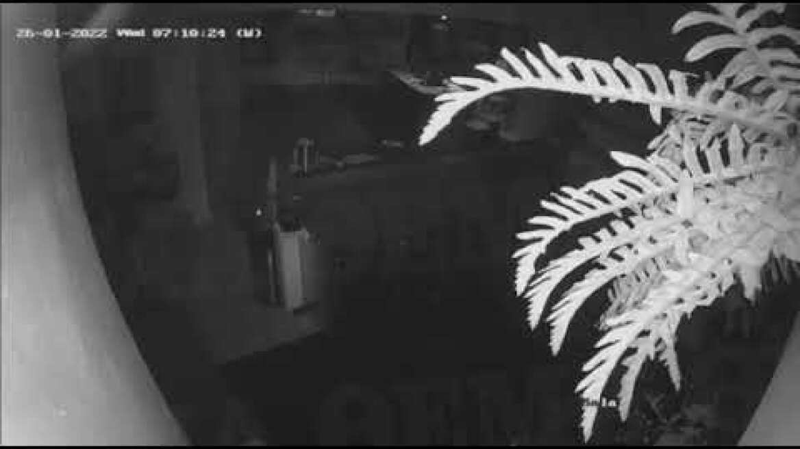 Βίντεο ντοκουμέντο από την έκρηξη στη Λ. Συγγρού