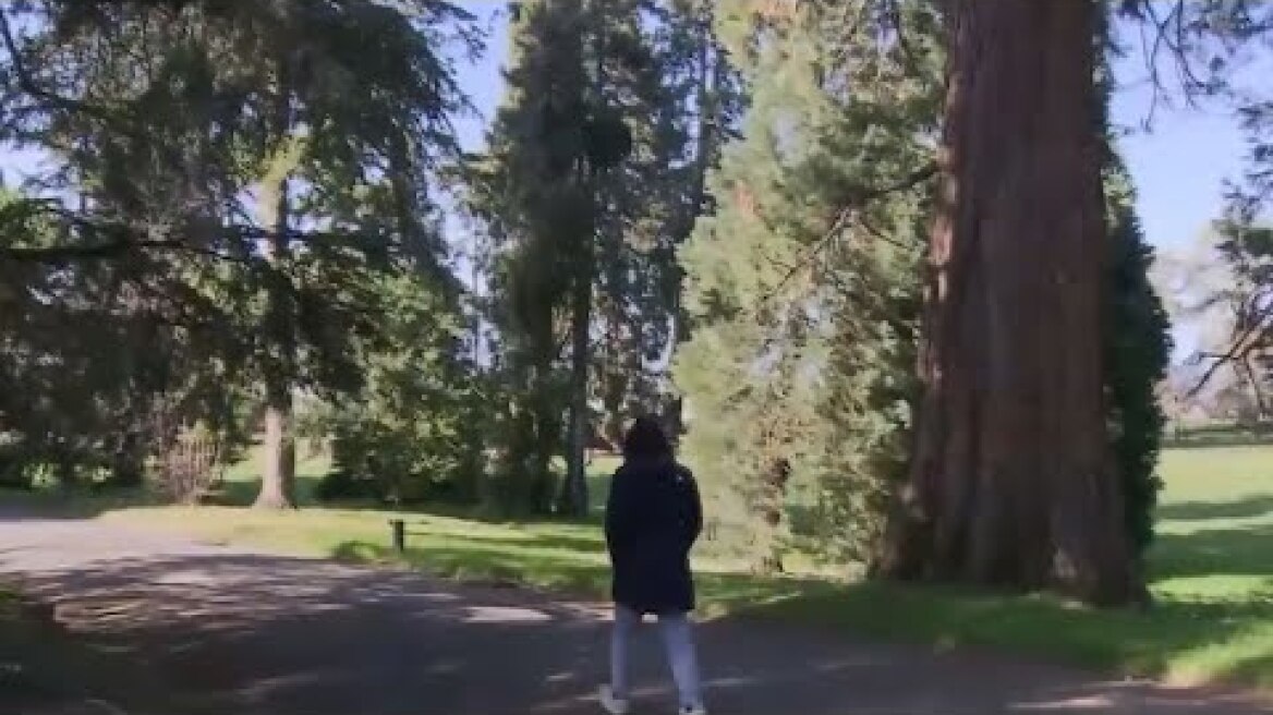 Τηλεοπτική Έρευνα: Οι κίνδυνοι της παιδεραστίας στο διαδίκτυο