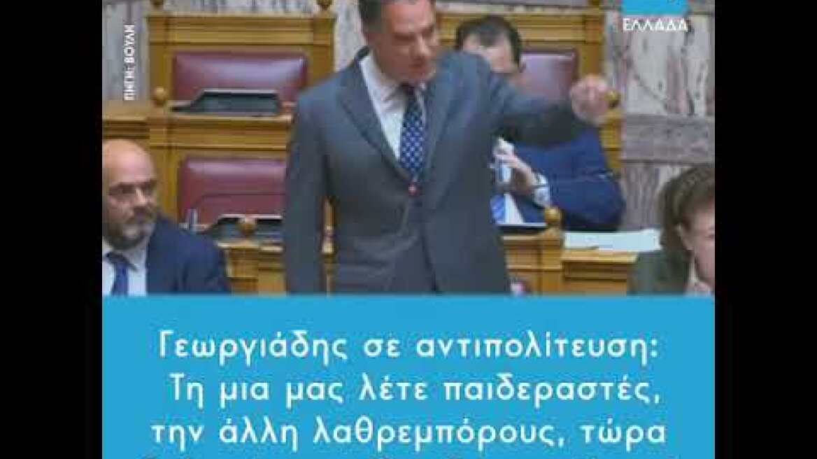 Δηλώσεις του Άδωνι Γεωργιάδη