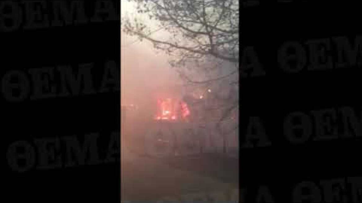 Βίντεο - ντοκουμέντο από το Μάτι: Έσωσε 65 ανθρώπους και το ξενοδοχείο του με ένα λάστιχο!