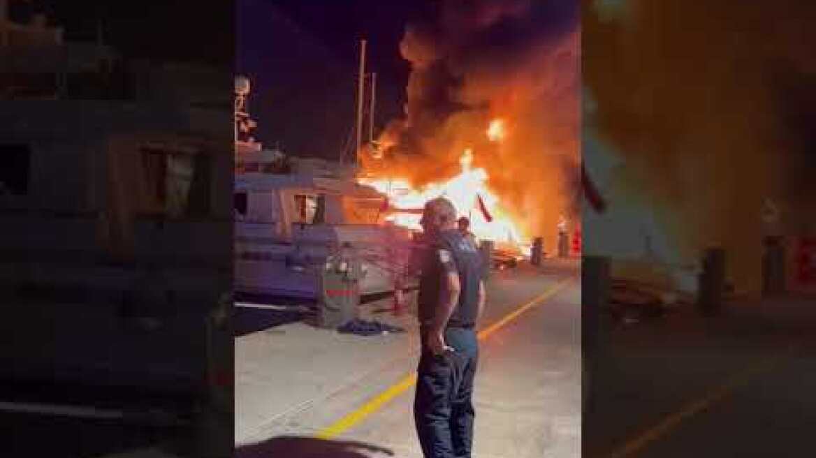 Μαρίνα Ζέας (8)