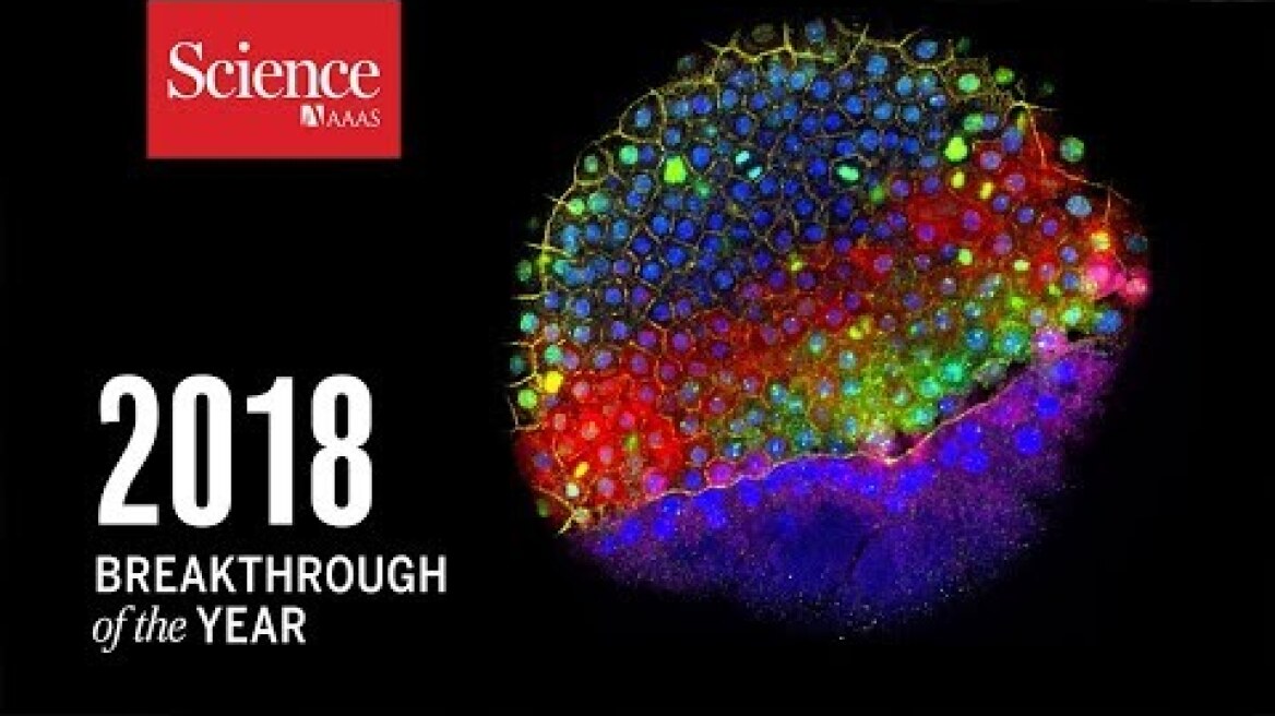 2018 Breakthrough of the Year