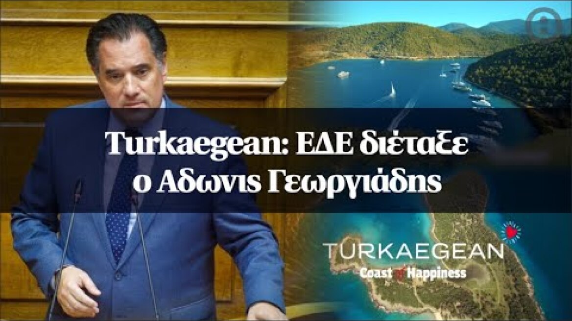 Τurkaegean: ΕΔΕ διέταξε ο Αδωνις Γεωργιάδης