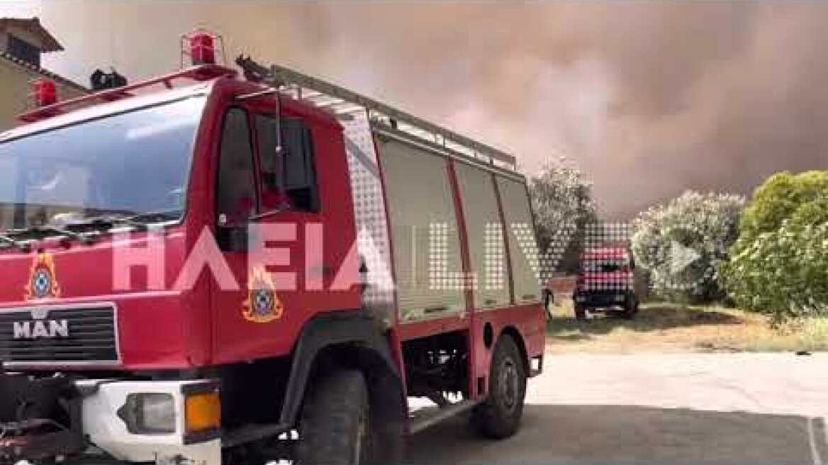 ilialive.gr - Στις φλόγες ο δήμος Ανδριτσαινας Κρεστενων