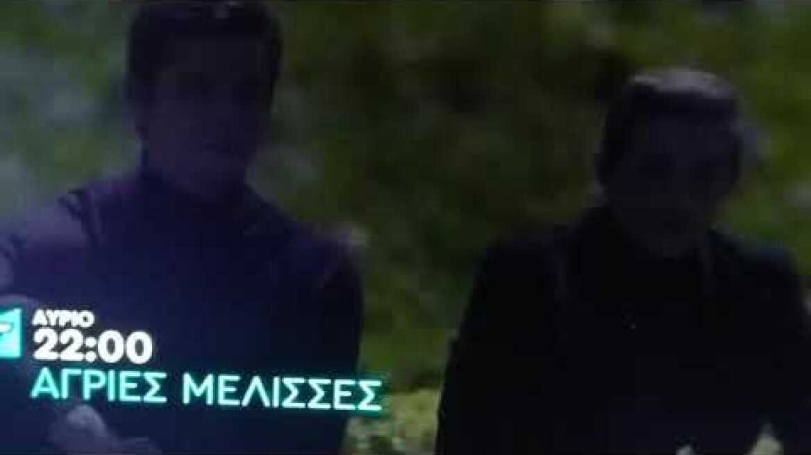 Άγριες Μέλισσες: Ο Νικηφόρος χάνει τον έλεγχο