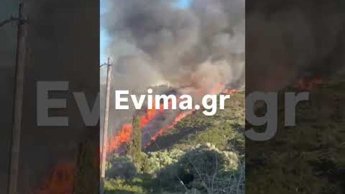 Επιχειρούν εναέρια μέσα στη φωτιά στα Μεσοχώρια της Εύβοιας: Νέο μήνυμα του 112 για εκκένωση του Λιμνιώνα, κοντά σε σπίτια οι φλόγες Μεγάλη φωτιά στην Εύβοια