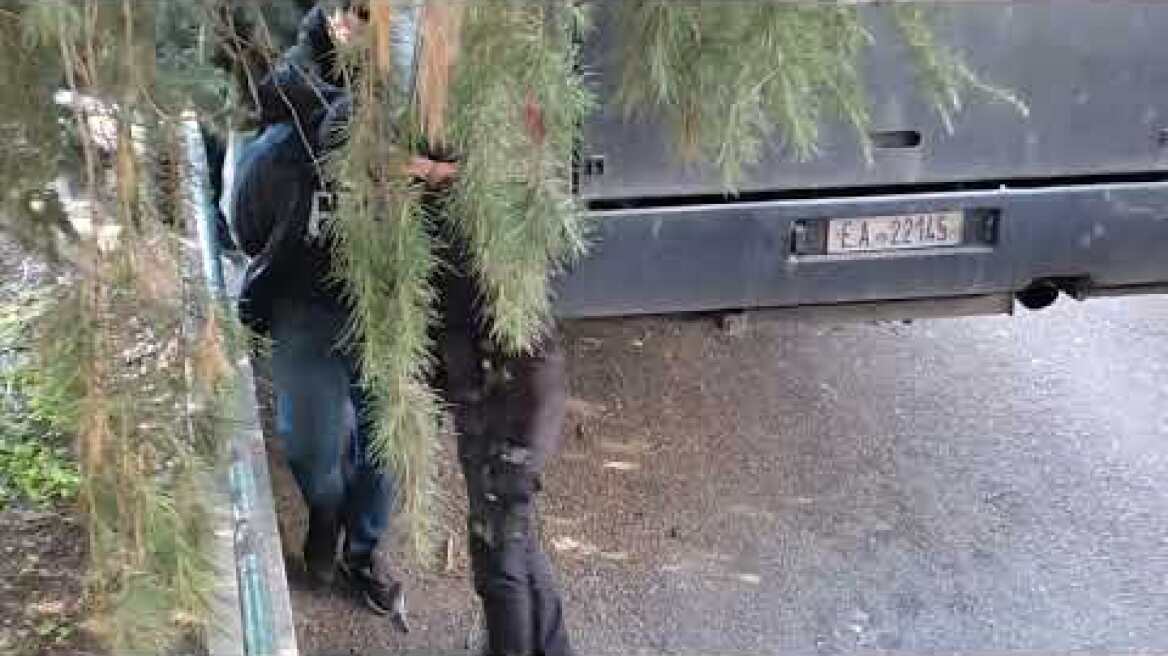 Δολοφονία Άλκη - Στα δικαστήρια οι δύο συλληφθέντες