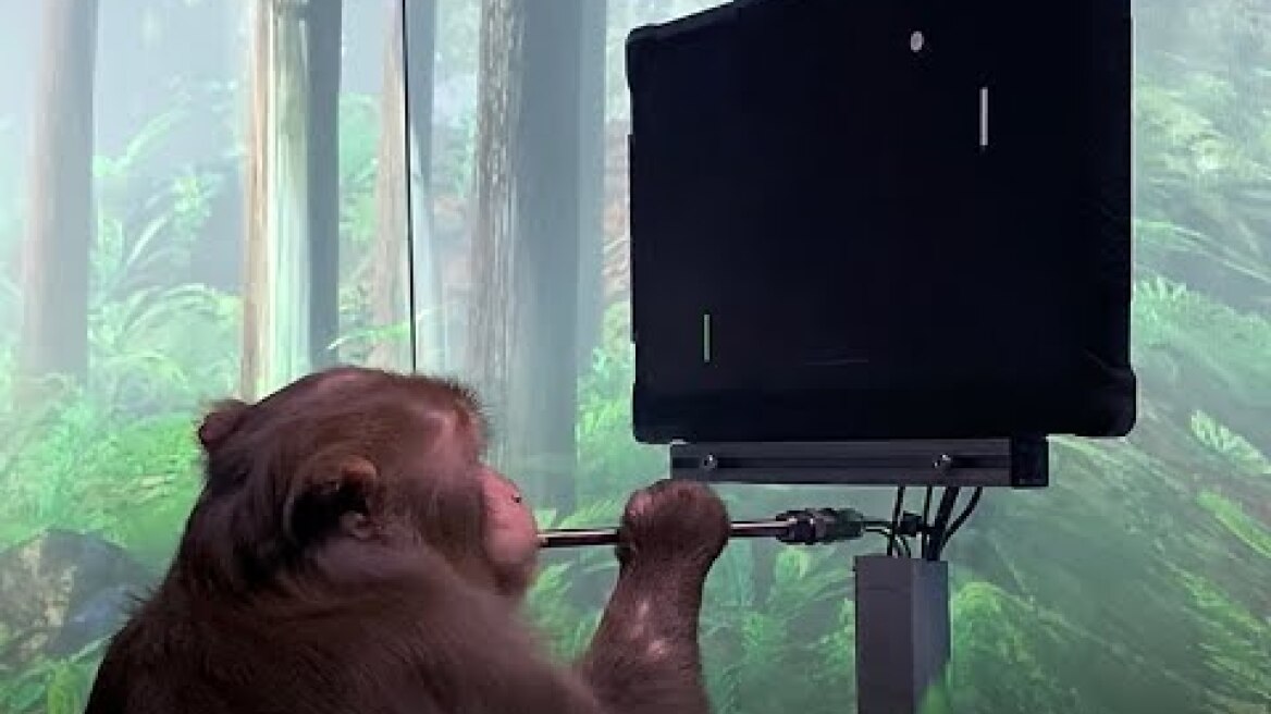 Monkey MindPong