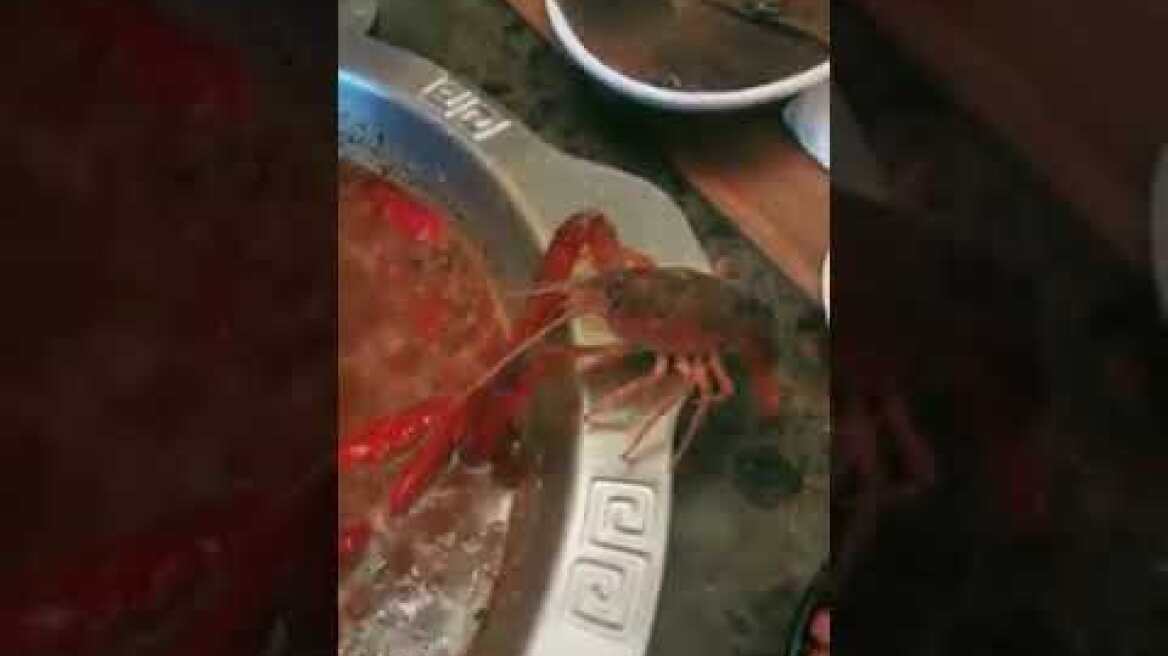 Crayfish removes claw to survive.