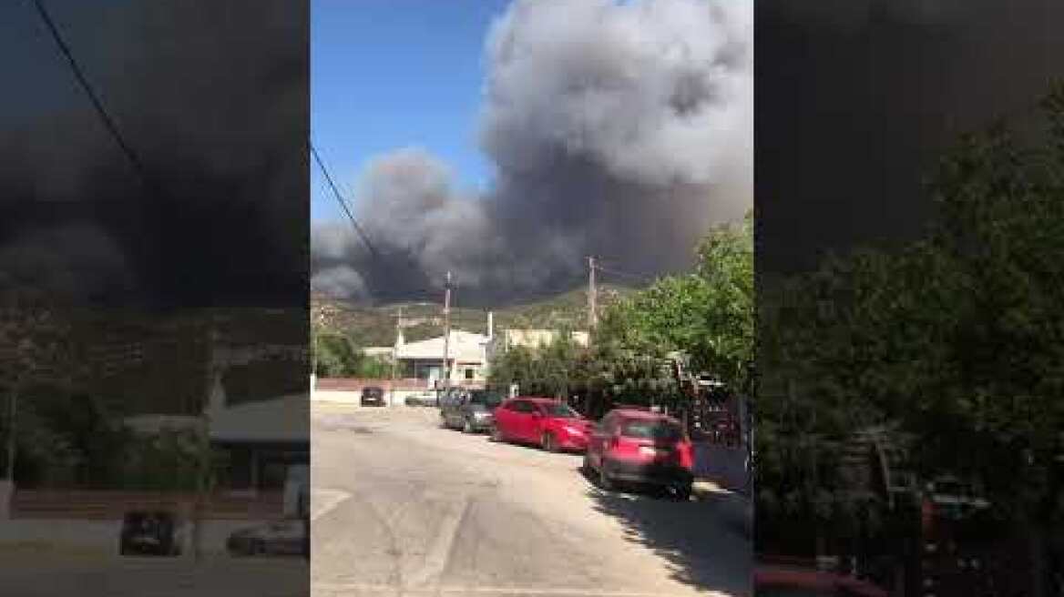 Φωτιά στη Εύβοια (3)