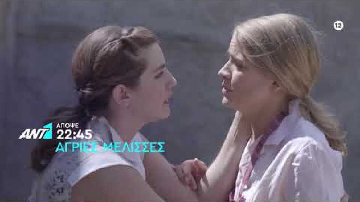 Άγριες Μέλισσες - Δευτέρα 30/09