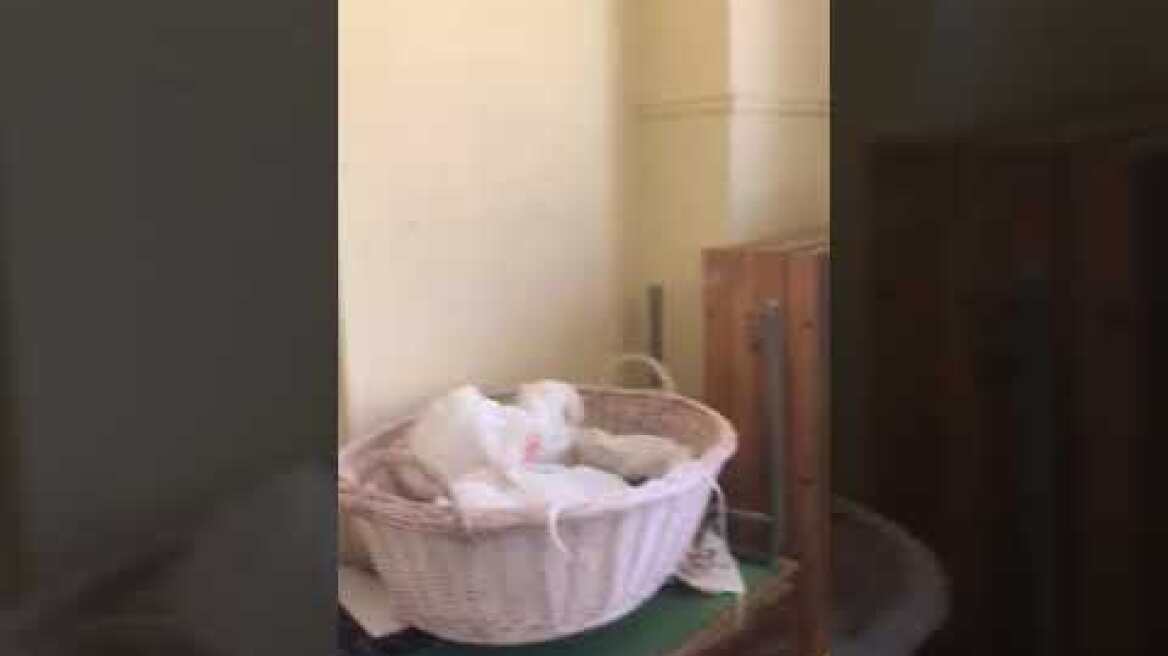 ΣΚΗΤΗ ΕΚΛΟΓΙΚΟ ΚΕΝΤΡΟ