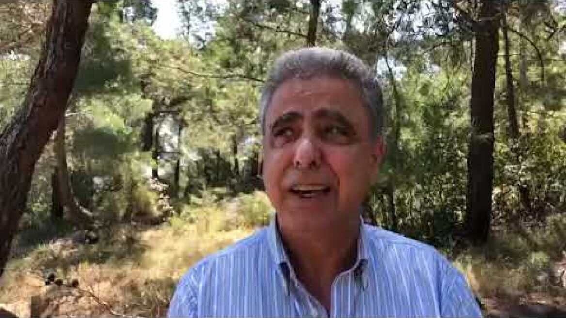 Σε εξέλιξη μεγάλη φωτιά στη Χίο - Εκκενώνονται χωριά 4