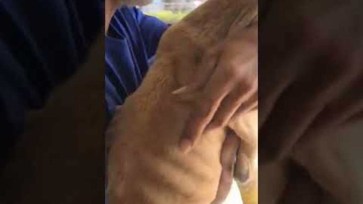 Η Νίκη φεύγει για Πάτρα