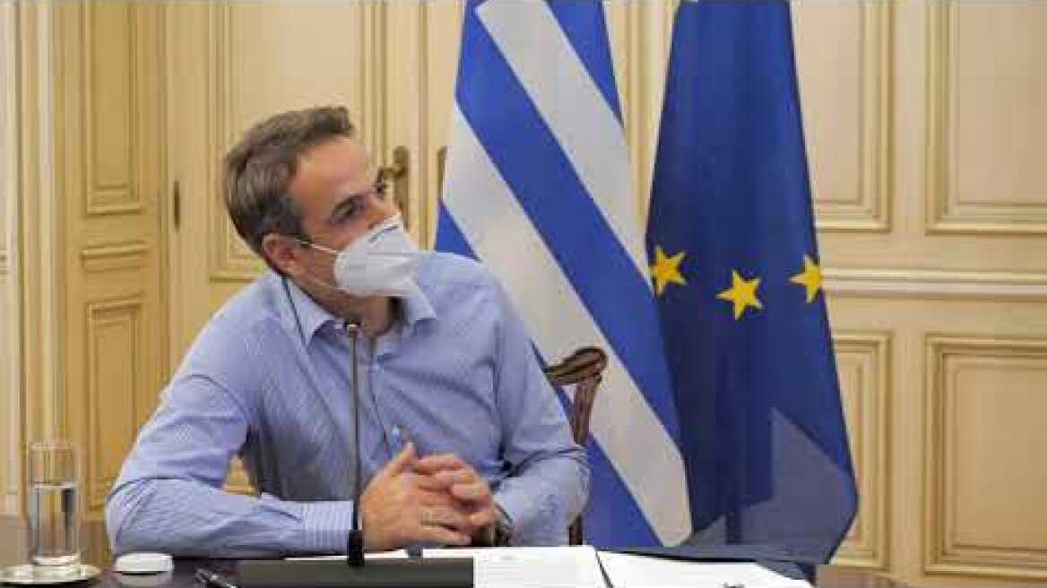 Τηλεδιάσκεψη ομάδα εργασίας