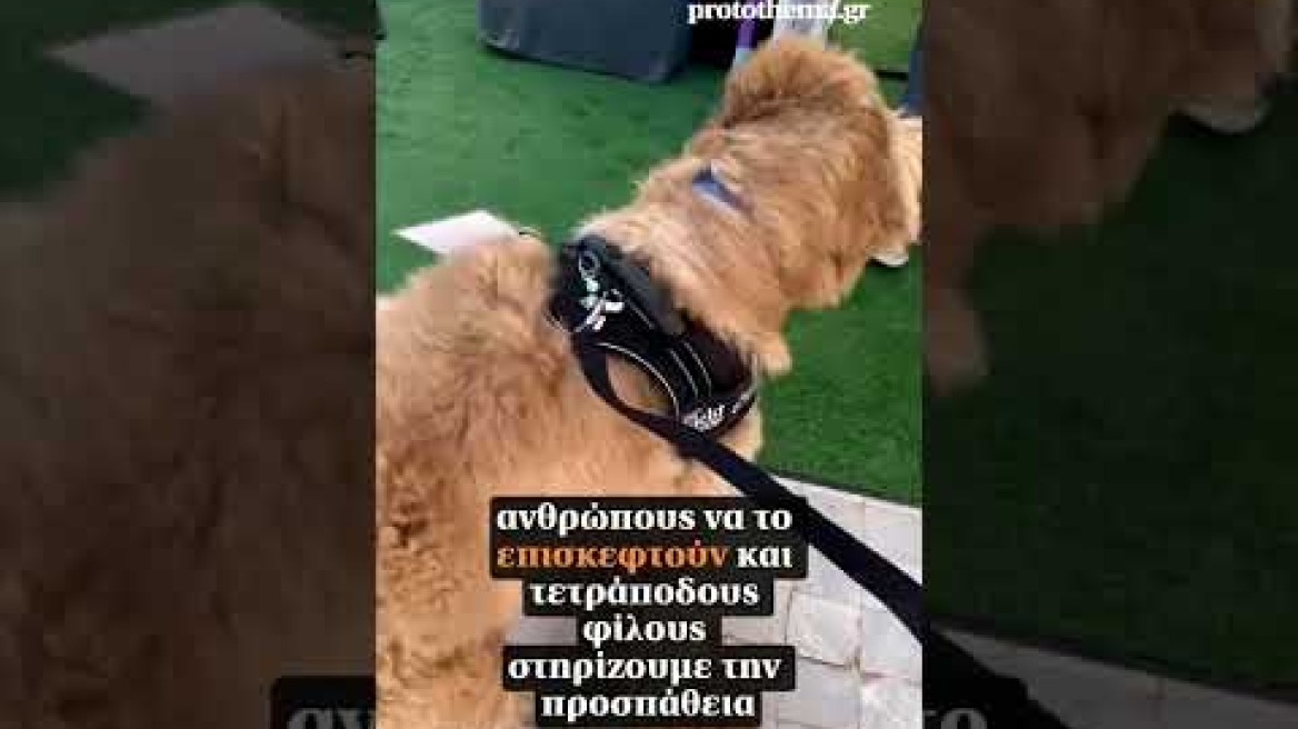 Ο δήμαρχος Αθηναίων Χάρης Δούκας στο Woof Festival