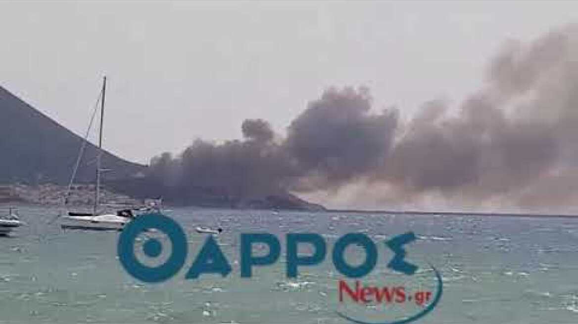 Πύλος φωτιά 8-6-2018