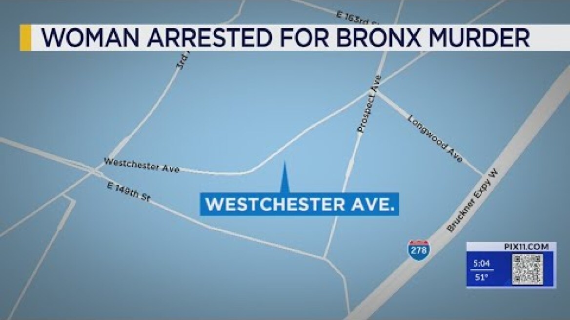 Daughter allegedly kills mother in the Bronx: sources