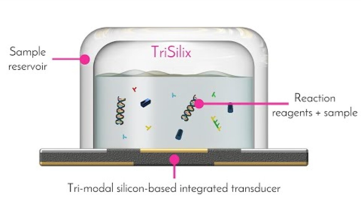Disposable Silicon-based All-in-One Micro-qPCR for Rapid On-Site Detection of Pathogens