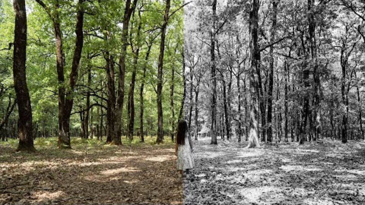 Hope // Short Film (Sony a7iii)